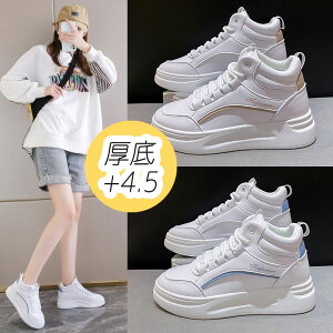 Xj[J[ fB[X  nCJbg  y b L ^C V[Y Cq[Xj[J[ r lC yXb| nCq[ C V[Nbgu[c gAbv  Ռ