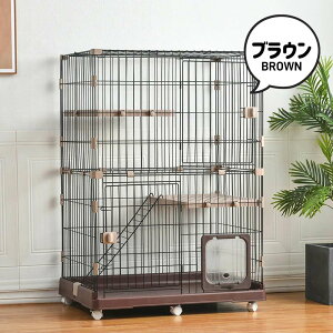 yLphAt zL P[W LbgP[W 2i  1i\ LP[W ybgP[W P[W ybgp LbgnEX LX^[t ybgT[N lR nEX ړ֗ i 