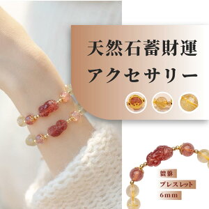 [�J�^ ���^ �d���^ ] �V�R�� �溃u���X���b�g 6mm �V�R�Β~���^ �A�N�Z�T���[ �V�R�΃u���X���b�g �p���[�X�g�[�� �u���X���b�g�A�N�Z�T���[
