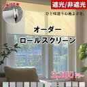 【ひと味違う心地よさを。】ロールスクリーン つっぱり 小窓 遮光 ロールカーテン コードレス 寒さ対策 遮光ブラインド 賃貸可能 断熱スクリーン 幅24〜240cm 防音 仕間切り 取付簡単 洋室 和室 採光 UVカット1年保証 冷暖房効率UP