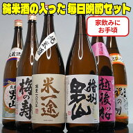 あす楽 お中元ギフト 酒 純米酒の入った 毎日晩酌セット 1800ml 6本 日本酒 飲み比べセット 【本州 四国 …
