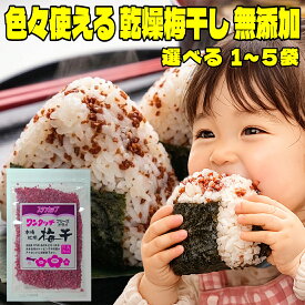 1000円ポッキリ 色々使える フリーズドライ 梅干し 無添加 干し梅 紀州南高梅 梅干し 38g 選べる1〜5袋 送料無料 国産 乾燥 梅干し ふりかけ ご飯のお供 おにぎり の具 梅 塩分補給 熱中症対策 梅 干し ドライ 梅 常温保存 疲労回復 長期保存 保存食