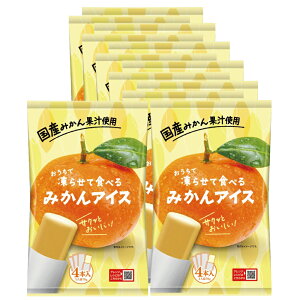 V[xbg ACX  œ点ĐHׂACX 12܁i48{jZbg  񂹃O  |Cg 点ACX 点ĐHׂ V[xbg XeBb