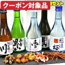 あす楽 父の日 日本酒 おつまみ付き 届いたらすぐ笑顔で晩酌！ 父の日 日本酒 飲み比べセット 飲みきり5本 おつまみ5種セット 300ml 小瓶ミニボトル 送料無料 辛口 父の日 2026 日本酒 父の日 お酒 おつまみセット ギフト おつまみ gift 日本酒 セット 男性 プレゼント