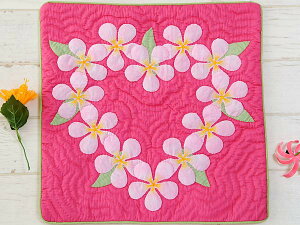 nCALg Lbg ς NbVJo[ Lbg S NbVJo[ 45×45cm CeA nC nCA ~E~gAn yił͂܂z