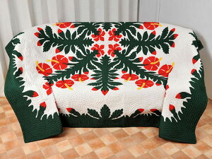 nCALg Lbg ς xbhJo[ n xbhXvbh nhCh yił͂܂z