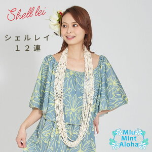 y[zVFC VF C 12At_X C t C t_Xߑ ɂ nCALg ~EE~gEAn