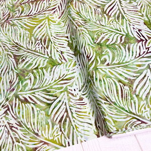 ނ  n  Rbg 100 ^C_C TVc ɂ  100 oeBbN ChlVA nCALg   obO ~E~gAn