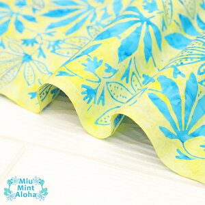 ނ  n  Rbg 100 ^C_C TVc ɂ  100 oeBbN ChlVA nCALg   obO ~E~gAn