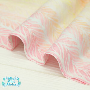 ނ  n  Rbg 100 ^C_C TVc ɂ  100 oeBbN ChlVA nCALg   obO ~E~gAn