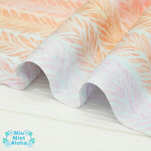 ނ  n  Rbg 100 ^C_C TVc ɂ  100 oeBbN ChlVA nCALg   obO ~E~gAn