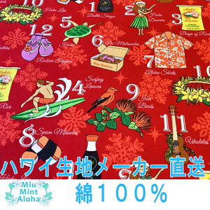 nCA n Rbg 100nCA t@ubN 100   obO ^yXg[