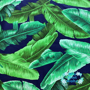 nCA n Rbg 100nCA t@ubN 100   obO ^yXg[