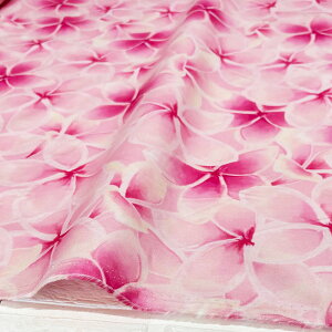 nCA n Rbg 100nCA t@ubN 100   obO ^yXg[yx[XJ[FsNz_u