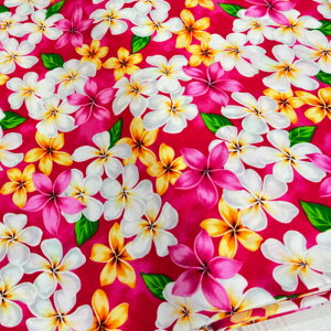 nCA n Rbg 100nCA t@ubN 100   obO ^yXg[