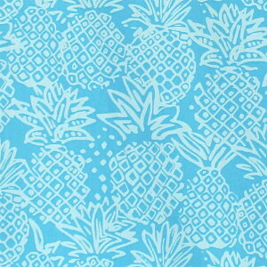 nCA n Rbg 100nCA t@ubN 100   obO ^yXg[