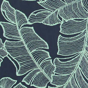 nCA n Rbg 100nCA t@ubN 100   obO ^yXg[y^[RCYu[/O[nz