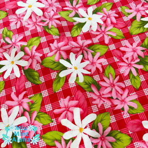 nCA n Rbg 100nCA t@ubN 100   obO ^yXg[