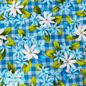 nCA n Rbg 100nCA t@ubN 100   obO ^yXg[