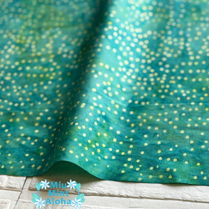 ނ  n  Rbg 100 ^C_C TVc ɂ  100 oeBbN ChlVA nCALg   obO ~E~gAn