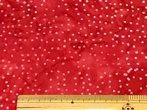 ނ  n  Rbg 100 ^C_C TVc ɂ  100 oeBbN ChlVA nCALg   obO ~E~gAn