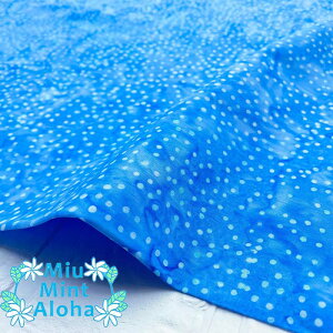 ނ  n  Rbg 100 ^C_C TVc ɂ  100 oeBbN ChlVA nCALg   obO ~E~gAn