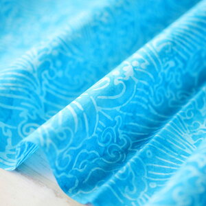 ނ  n  Rbg 100 ^C_C TVc ɂ  100 oeBbN ChlVA nCALg   obO ~E~gAn@tuti-rb-231-08