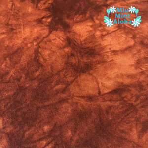 ނ  n  Rbg 100 ^C_C TVc ɂ  100 oeBbN nCALg ~E~gAn@ߕ@mr060-003 uE