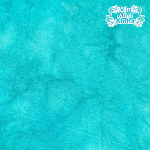 ނ  n Rbg 100 ^C_C TVc ɂ  100 oeBbN nCALg ~E~gAn@ߕ@mr060-445 ANA