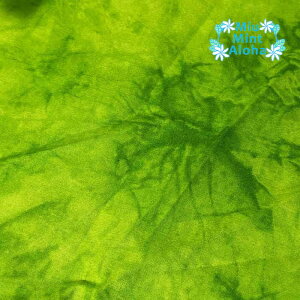 ނ  n Rbg 100 ^C_C TVc ɂ  100 oeBbN nCALg ~E~gAn@ߕ@mr060-431 ZO[