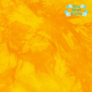 ނ  n Rbg 100 ^C_C TVc ɂ  100 oeBbN nCALg ~E~gAn@ߕ@mr060-520 CG[