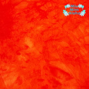 ނ  n Rbg 100 ^C_C TVc ɂ  100 oeBbN nCALg ~E~gAn@ߕ@mr060-751 pbVIW