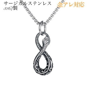 T[WJXeX lbNX Y Vo[ Vv AM[Ή XeX lbNX [`F[  wr ւ `[t CtBjeB 8  ×pXeX 316L