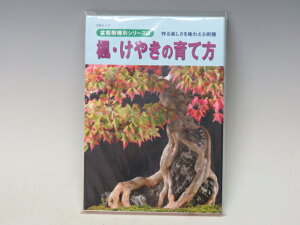 { E₫̈ĕ y发Ёz ~͐X OY|