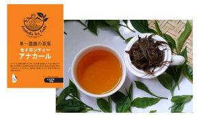 sAZCeB[y Mtg g@XJg@ZCeB\@i@~͂ƈꏏɁz ~͐X OY|