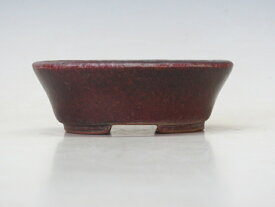 盆栽鉢 樹晃 楕円鉢 【作家鉢 盆栽小鉢 ギフト お買い得商品】 盆栽専門店 三浦培樹園