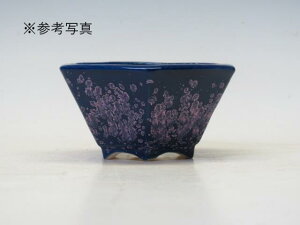 ~͔ z Zp@M4 yƔ@튊ā@{@~͏ Mtg iz ~͐X OY|