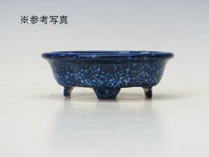 ~͔ z ؉Z@M7 yƔ@튊ā@{@~͏ Mtg iz ~͐X OY|