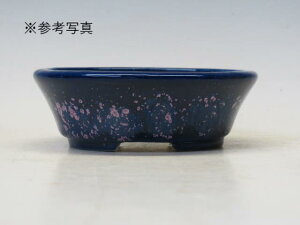 ~͔ z ȉ~ M3 yƔ@튊ā@{@~͏ Mtg iz ~͐X OY|