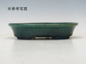 ~͔ z ȉ~@31 yƔ 튊ā@{@~͏ Mtg iz ~͐X OY|