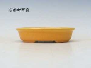 ~͔ z ȉ~ @M1yƔ@튊ā@{@~͏ Mtg iz ~͐X OY|