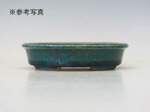 ~͔ z ȉ~ @M1yƔ 튊ā@{@~͏ Mtg iz ~͐X OY|