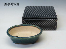 EXPO 2025　日本盆栽・水石展 記念鉢　　盆栽鉢 鴻陽 楕円鉢　27　（紙箱付）【作家鉢 常滑焼　日本鉢　盆栽小鉢 人気商品 代引手数料無料】 盆栽専門店 三浦培樹園