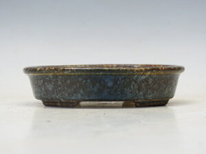 ~͔ z ȉ~ @M1@yƔ 튊ā@{@~͏ Mtg iz ~͐X OY|