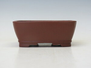 ~͔ ď  yƔ@튊ā@{@~͏ Mtg iz ~͐X OY|