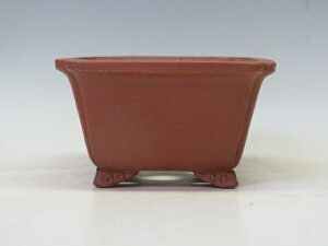 盆栽鉢 柴勝 雲足正方鉢 【作家鉢 常滑焼 日本鉢 盆栽小鉢 ギフト お買い得商品】 盆栽専門店 三浦培樹園