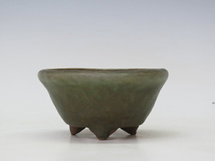 楽天市場】盆栽鉢 天竜石仙 丸鉢 【作家鉢 盆栽小鉢 お買い得商品 