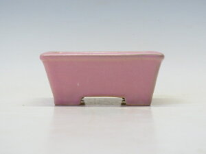 ~͔ ď  yƔ@튊ā@{@~͏ Mtg iz ~͐X OY|