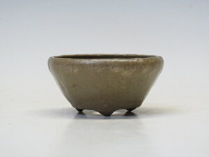 ~͔ |R ۔ yƔ ~͏ Mtg iz ~͐X OY|