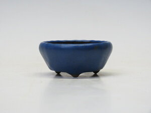 ~͔ |R ۔ yƔ ~͏ Mtg iz ~͐X OY|